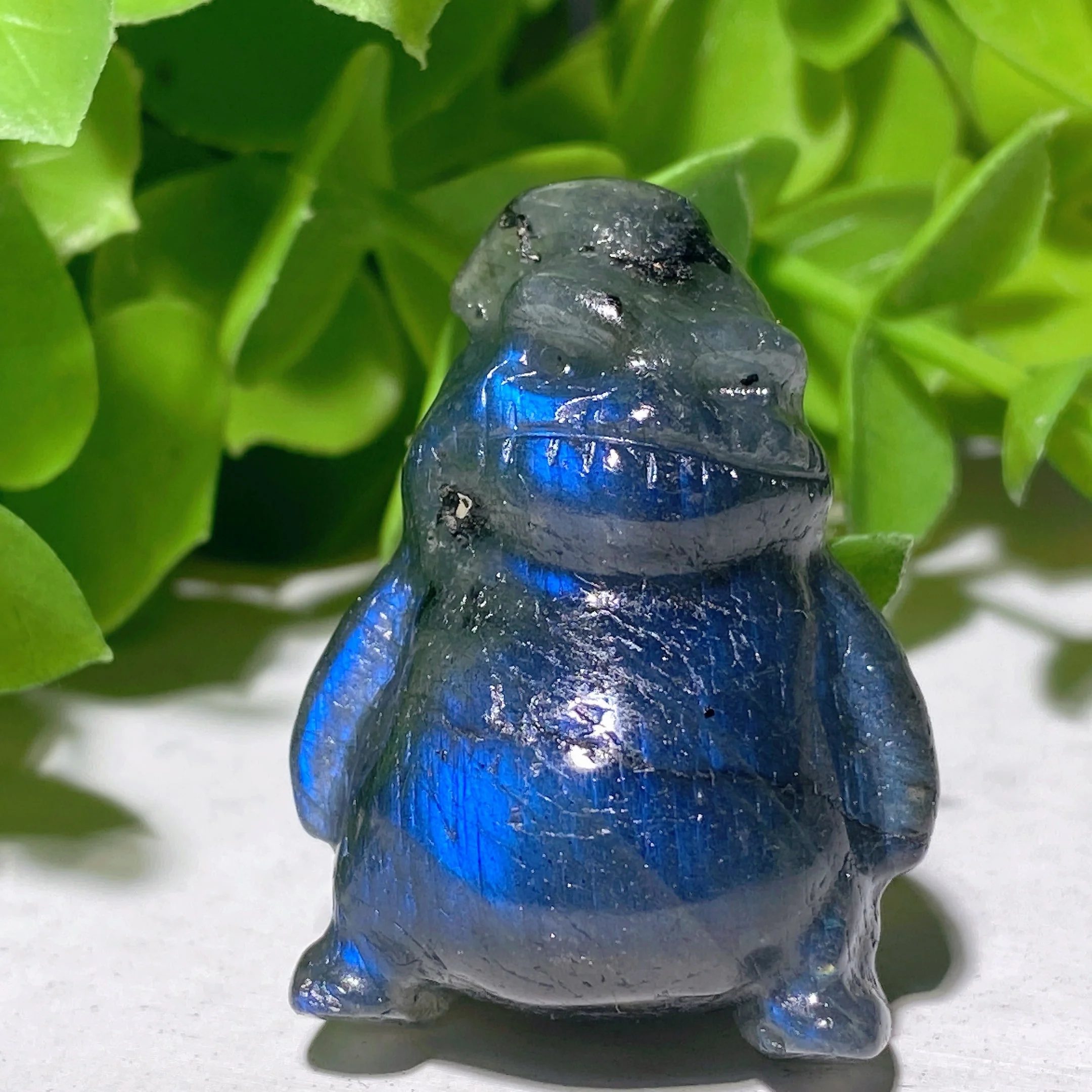 Thumbnail 6