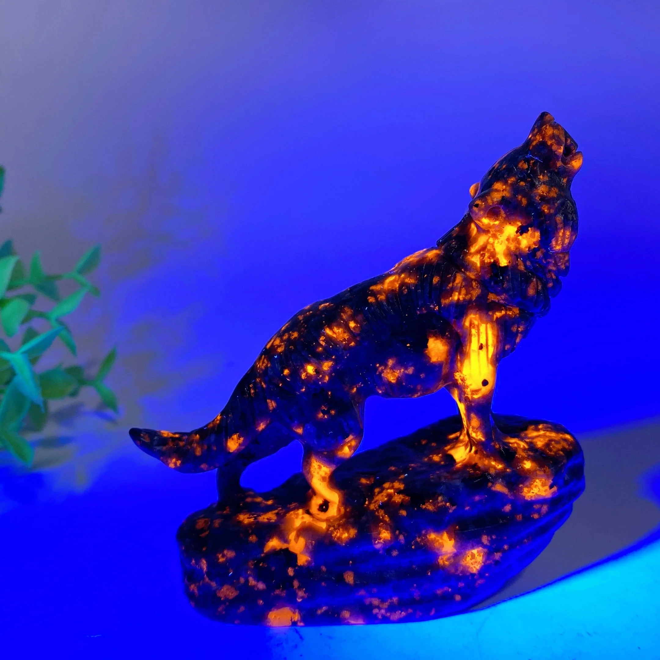 Thumbnail 9