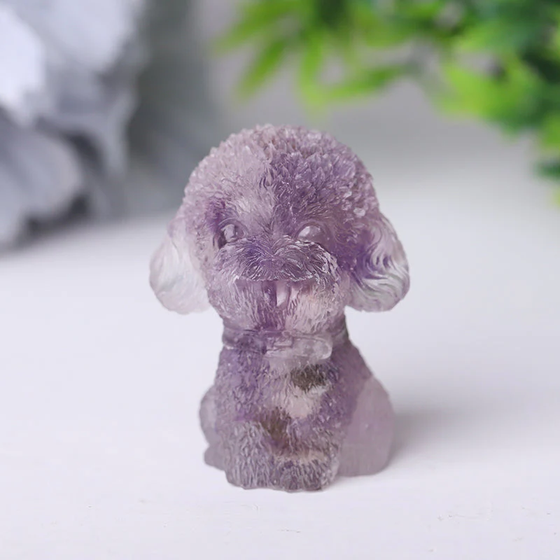 Thumbnail 13