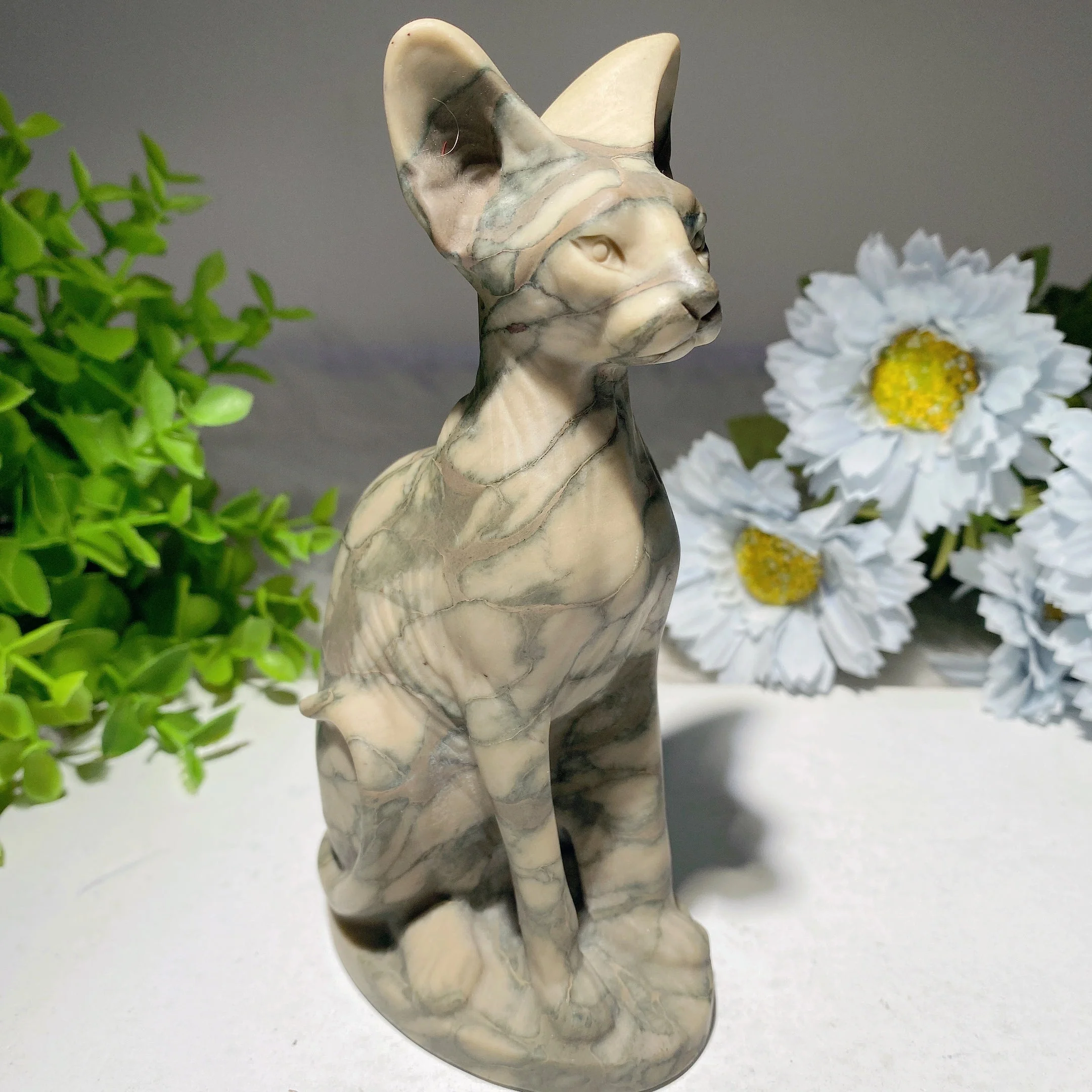 Thumbnail 14