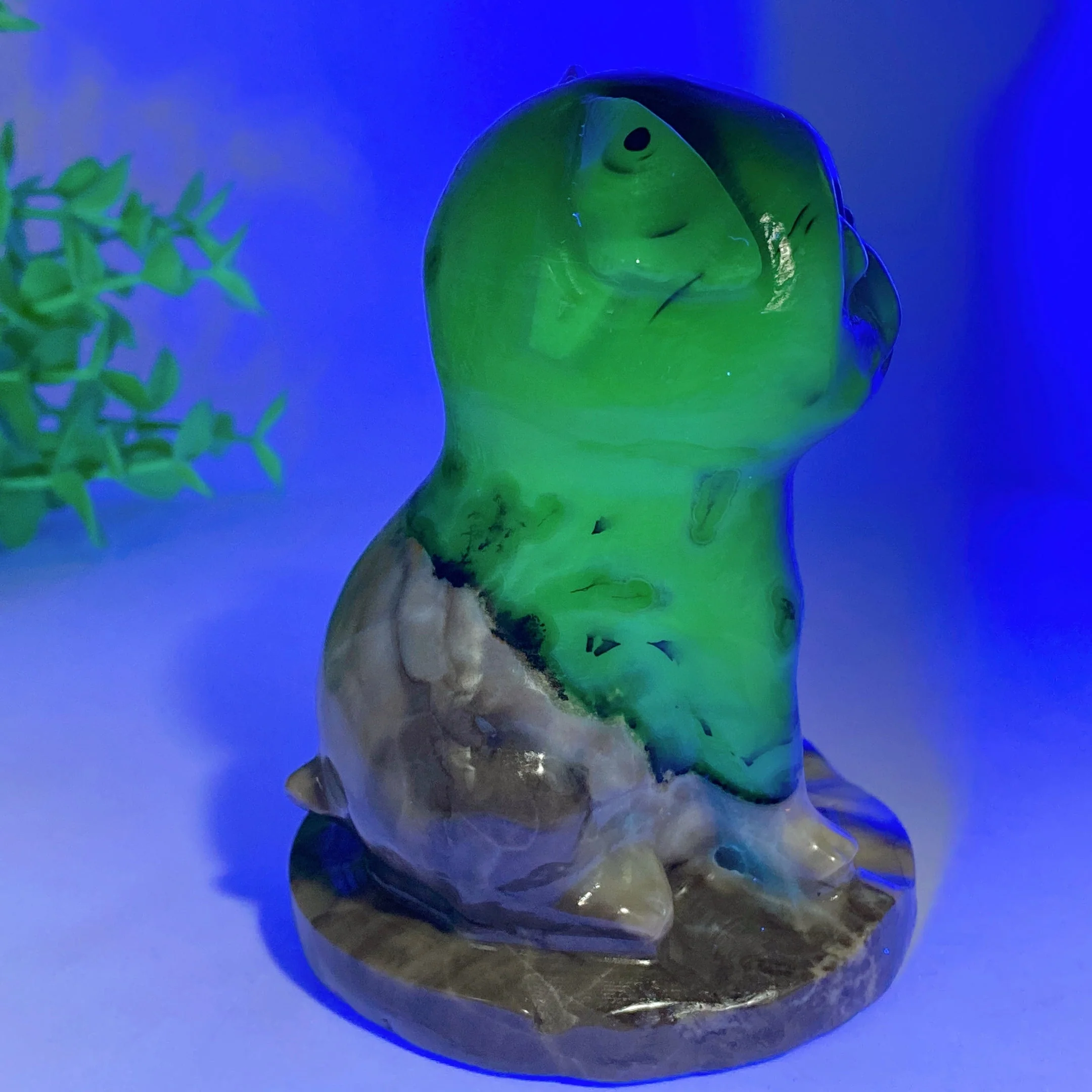 Thumbnail 8